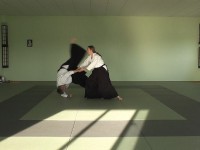 110728_aikido-training-brigitte-leo_002